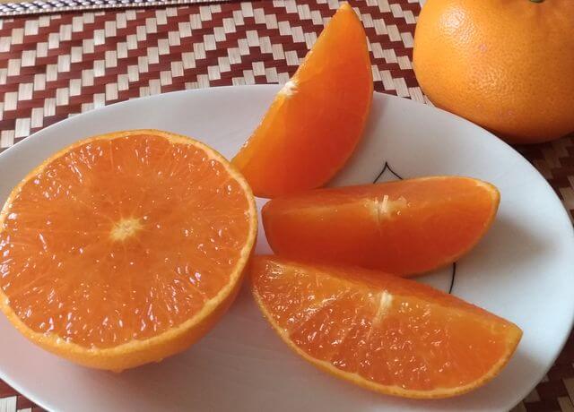 愛媛県産の柑橘【地元住民が推薦！最高においしいみかんの品種と購入 