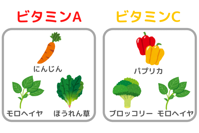 ビタミンAとビタミンCが摂れる野菜