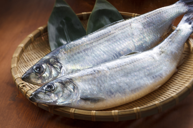 ニシン